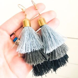 Fringe Dangley Earrings